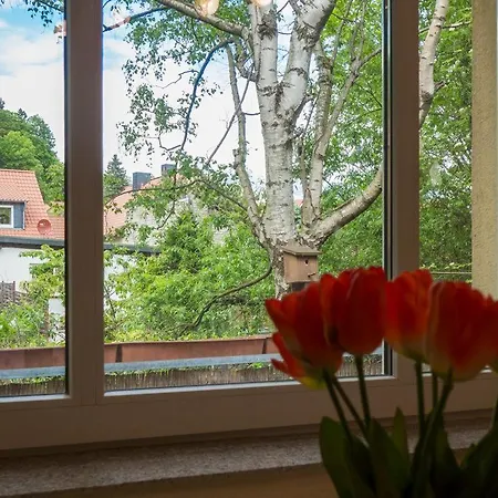 Holtemme In Prázdninový dům *